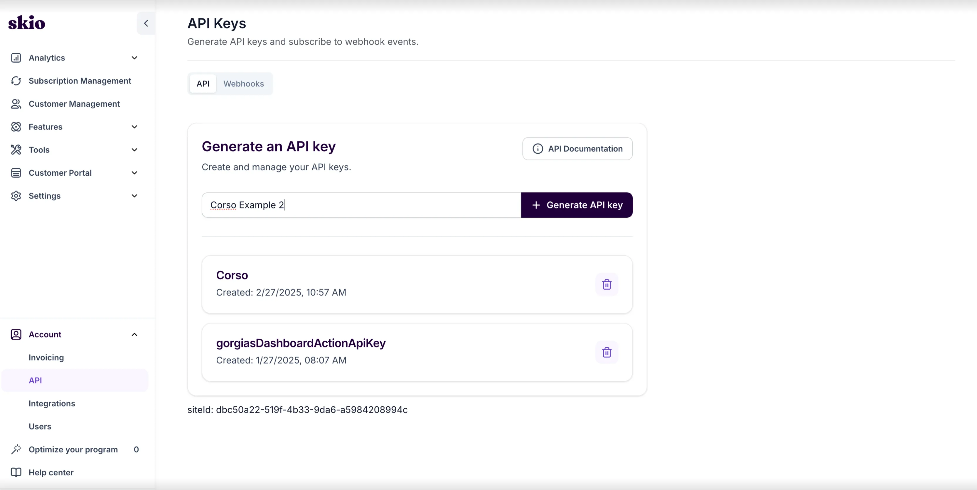 Skio API key setup